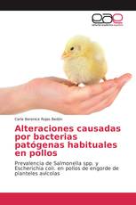 Alteraciones causadas por bacterias patógenas habituales en pollos