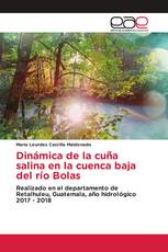 Dinámica de la cuña salina en la cuenca baja del río Bolas