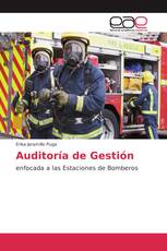 Auditoría de Gestión