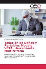 Tasación de Daños y Perjuicios Modelo VETA. Herramienta Multicriterio