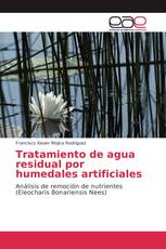 Tratamiento de agua residual por humedales artificiales