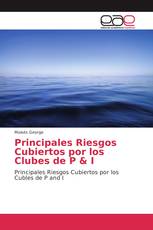 Principales Riesgos Cubiertos por los Clubes de P & I