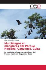 Murciélagos en manglares del Parque Nacional Caguanes, Cuba