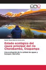 Estado ecológico del cauce principal del río Chorobamba, Oxapampa