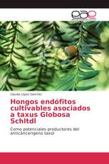 Hongos endófitos cultivables asociados a taxus Globosa Schltdl
