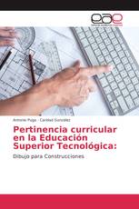 Pertinencia curricular en la Educación Superior Tecnológica: