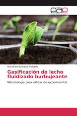 Gasificación de lecho fluidizado burbujeante