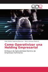 Como Operativizar una Holding Empresarial