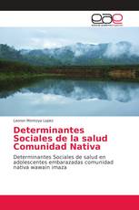 Determinantes Sociales de la salud Comunidad Nativa