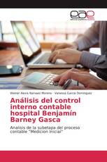Análisis del control interno contable hospital Benjamín Barney Gasca