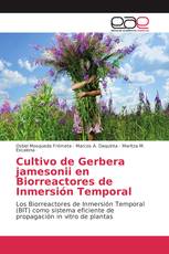 Cultivo de Gerbera jamesonii en Biorreactores de Inmersión Temporal