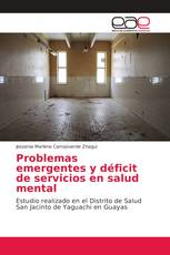 Problemas emergentes y déficit de servicios en salud mental