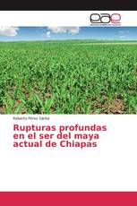 Rupturas profundas en el ser del maya actual de Chiapas