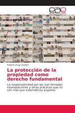 La protección de la propiedad como derecho fundamental