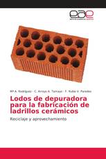 Lodos de depuradora para la fabricación de ladrillos cerámicos