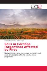 Soils in Córdoba (Argentina) Affected by Fires