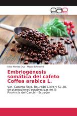 Embriogénesis somática del cafeto Coffea arabica L.