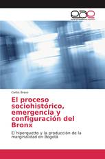 El proceso sociohistórico, emergencia y configuración del Bronx