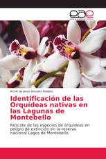 Identificación de las Orquídeas nativas en las Lagunas de Montebello