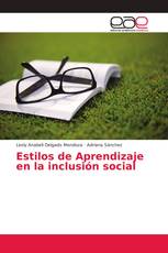Estilos de Aprendizaje en la inclusión social