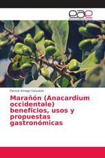 Marañón (Anacardium occidentale) beneficios, usos y propuestas gastronómicas