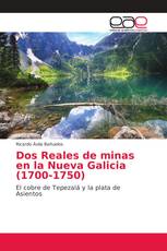 Dos Reales de minas en la Nueva Galicia (1700-1750)