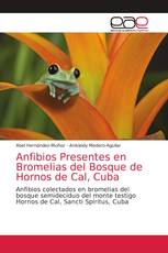 Anfibios Presentes en Bromelias del Bosque de Hornos de Cal, Cuba