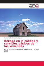 Rezago en la calidad y servicios básicos de las viviendas