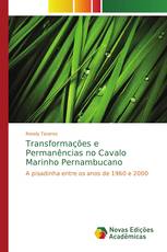 Transformações e Permanências no Cavalo Marinho Pernambucano