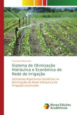 Sistema de Otimização Hidráulica e Econômica de Rede de Irrigação