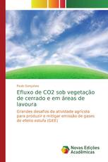 Efluxo de CO2 sob vegetação de cerrado e em áreas de lavoura