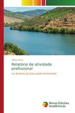 Relatório de atividade profissional