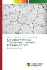 Simulação Numérica Tridimensional de Perfis Indutivos em Poço