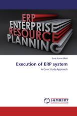 Execution of ERP system