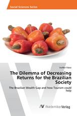 The Dilemma of Decreasing Returns for the Brazilian Society