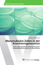 Mononukleäre Zellen in der Knochenregeneration