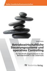 Betriebswirtschaftliche Steuerungssysteme und operatives Controlling