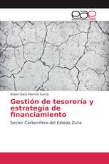 Gestión de tesorería y estrategia de financiamiento