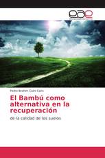 El Bambú como alternativa en la recuperación