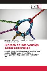 Proceso de intervención psicosociojurídico