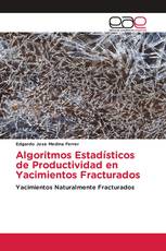 Algoritmos Estadísticos de Productividad en Yacimientos Fracturados