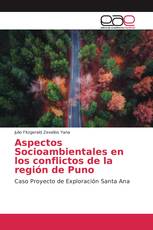 Aspectos Socioambientales en los conflictos de la región de Puno