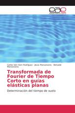 Transformada de Fourier de Tiempo Corto en guías elásticas planas