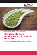 Moringa oleífera, panorama en el sur de Yucatán