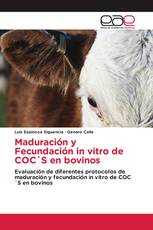 Maduración y Fecundación in vitro de COC´S en bovinos