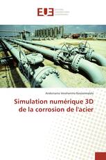 Simulation numérique 3D de la corrosion de l'acier