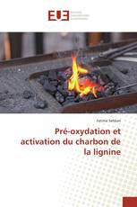 Pré-oxydation et activation du charbon de la lignine