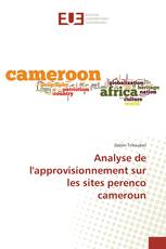 Analyse de l'approvisionnement sur les sites perenco cameroun