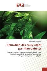 Epuration des eaux usées par Macrophytes