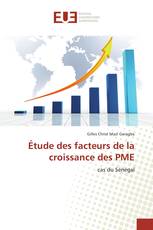 Étude des facteurs de la croissance des PME